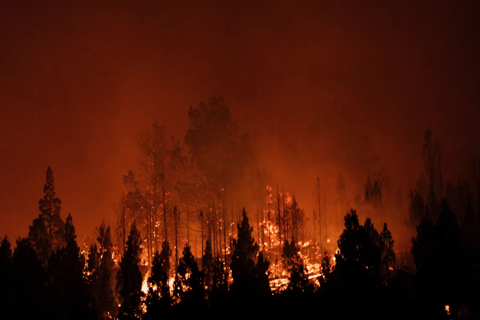 Study finds climate change set the stage for devastating wildfires in Argentina and Chile